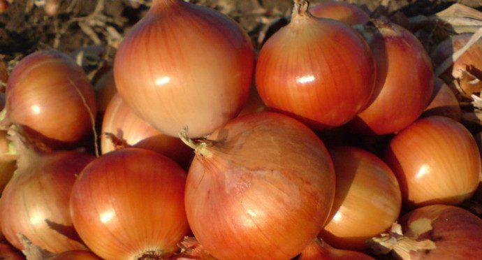 Лікарі розповіли про продукт, який захищає серце
