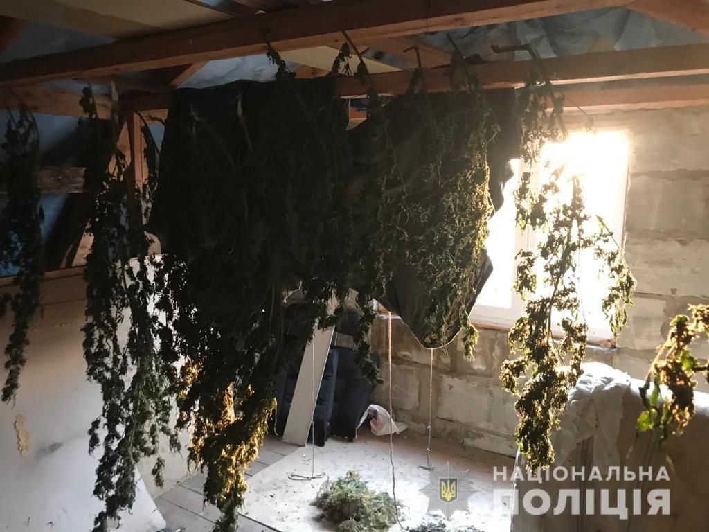 Мешканець Рівненщини зберігав на горищі коноплі