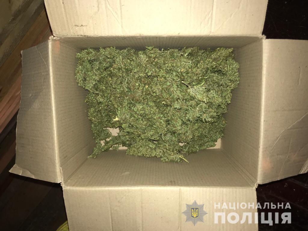 Мешканець Рівненщини зберігав на горищі коноплі
