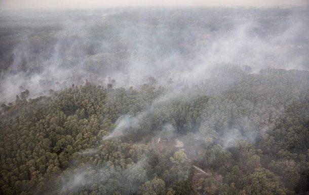 25 тисяч гектарів лісу постраждало цьогоріч в Україні