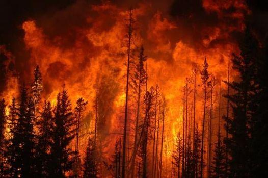Четверо людей загинули під час пожеж на Луганщині