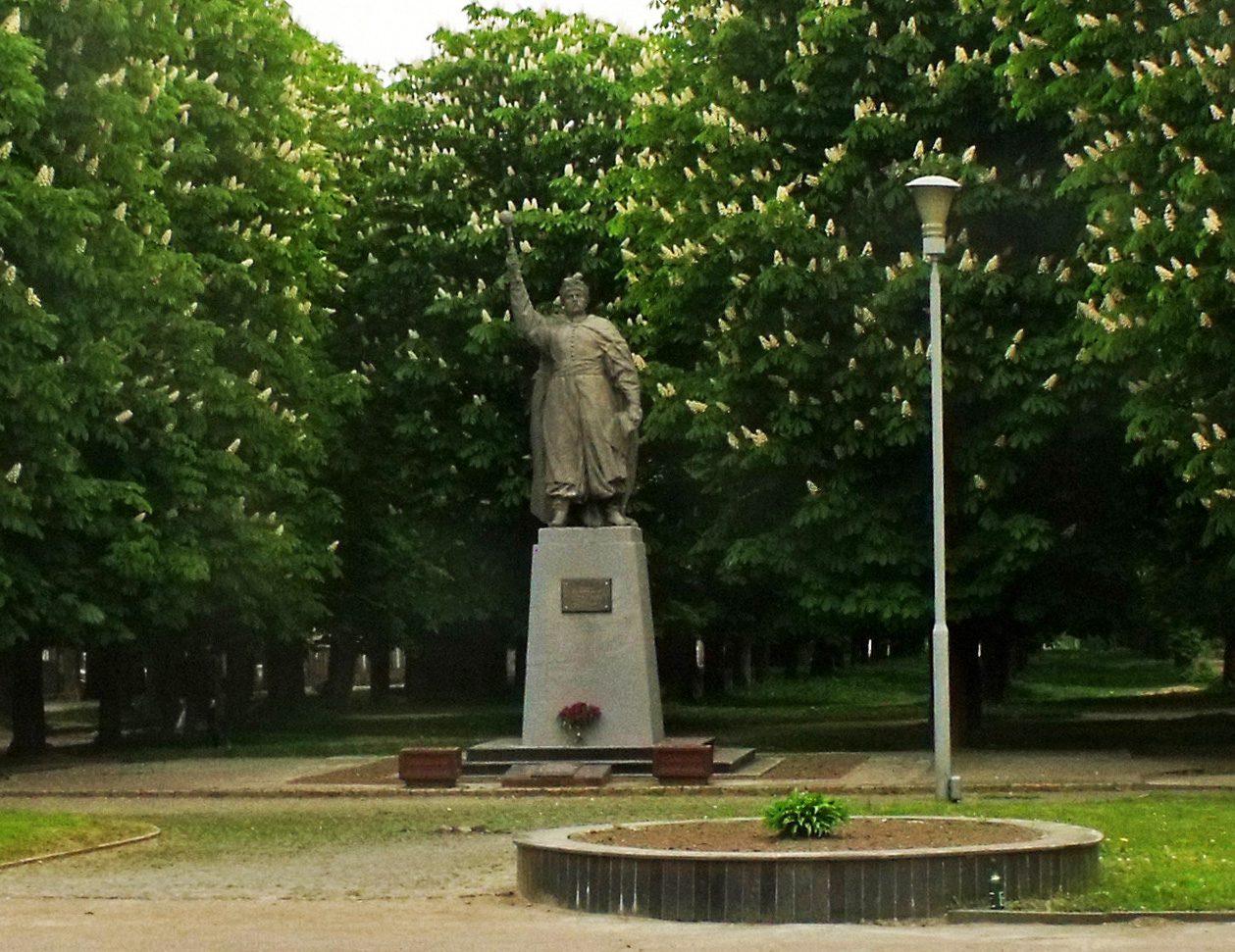 Територіальний виборчий округ № 5 в Рівному: знайди себе
