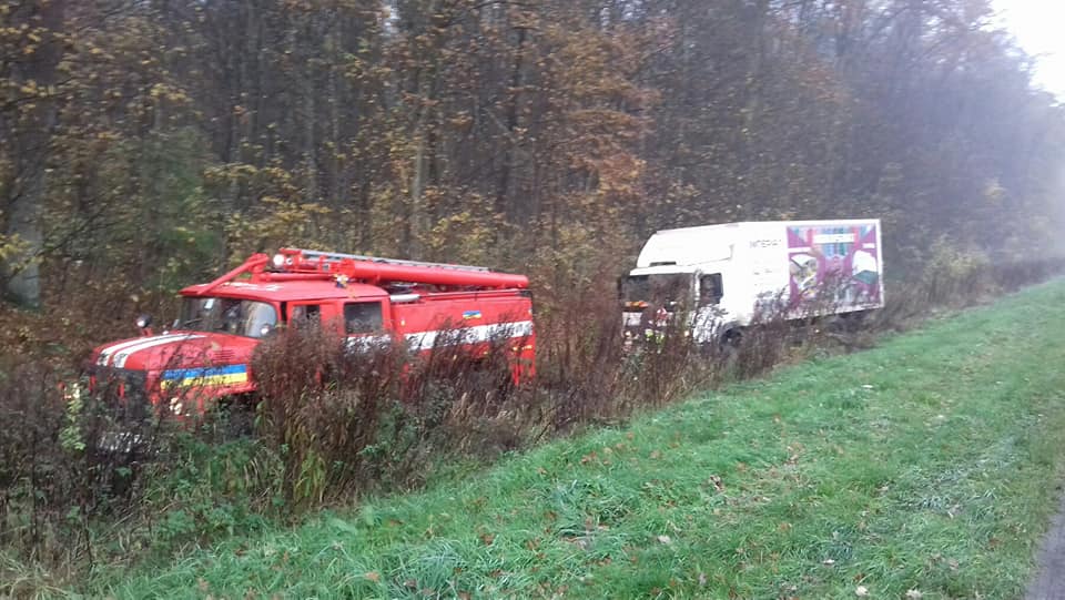 У Рівненському районі через косулю вантажівка з’їхала у кювет