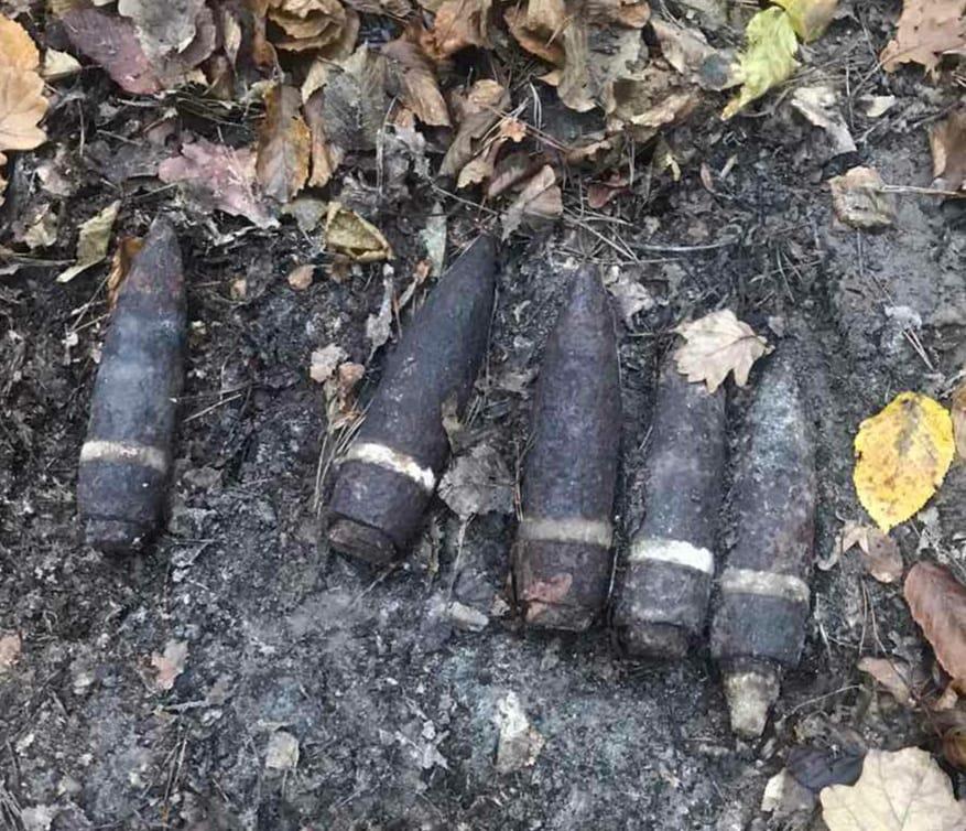Поблизу села Волошки шукали гриби, а вполювали артснаряди