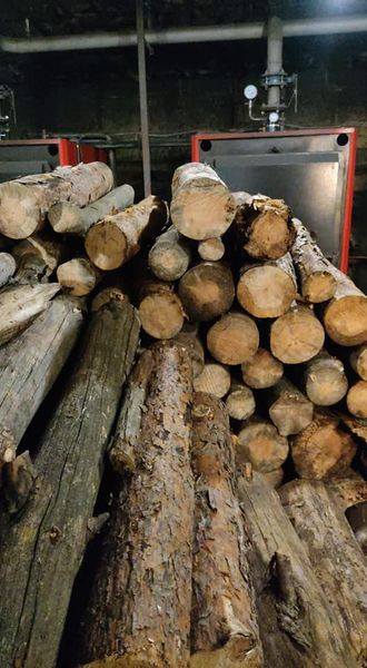 Кияни у багатоповерхівках обігрівають свої оселі дровами