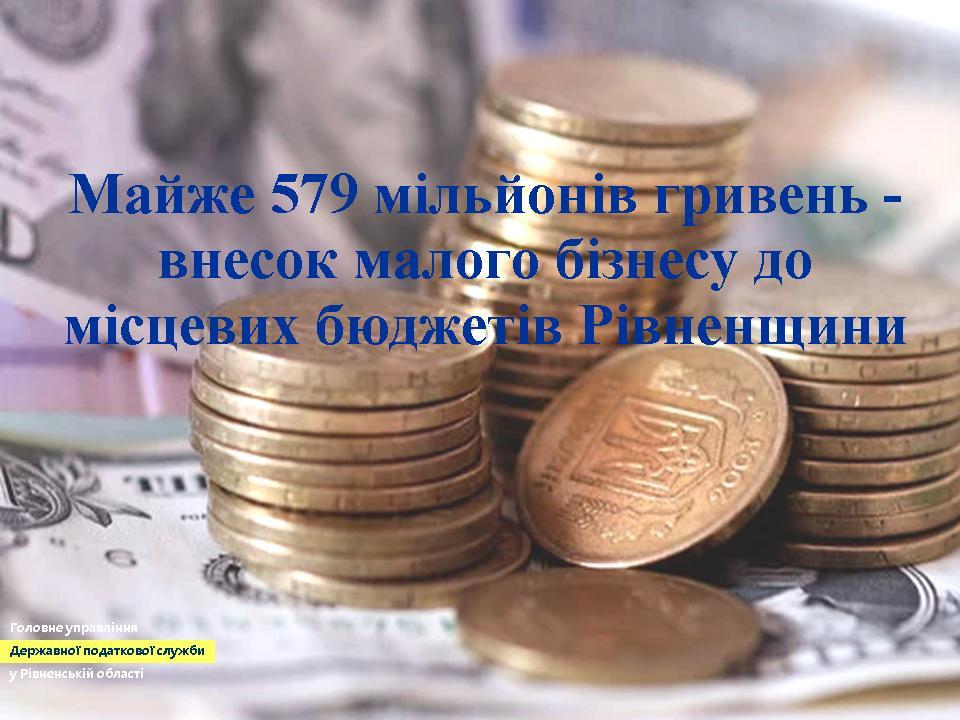 Рівненщина: майже 579 мільйонів гривень – внесок малого бізнесу до місцевих бюджетів