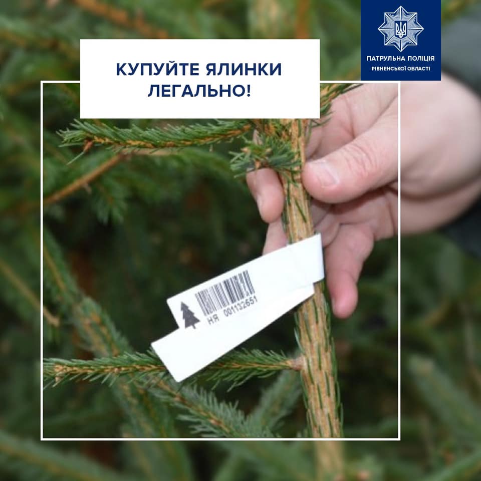 Патрульна поліція Рівненщини перевірятиме продавців ялинок
