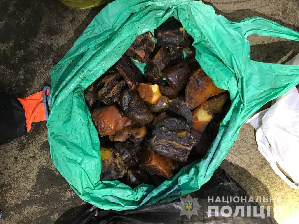 Вчора на Рівненщині поліцейські вилучили бурштину майже на 30 тисяч доларів США