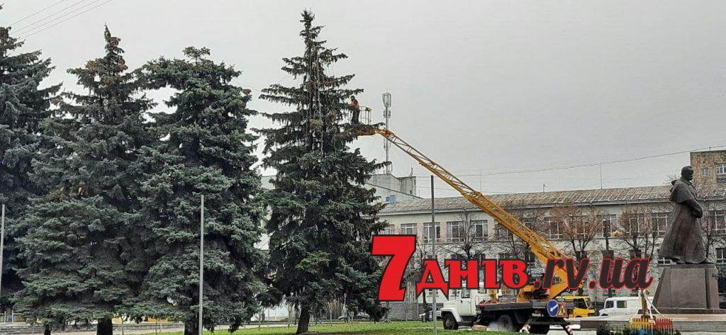 У центрі Рівного прикрашають ялинку