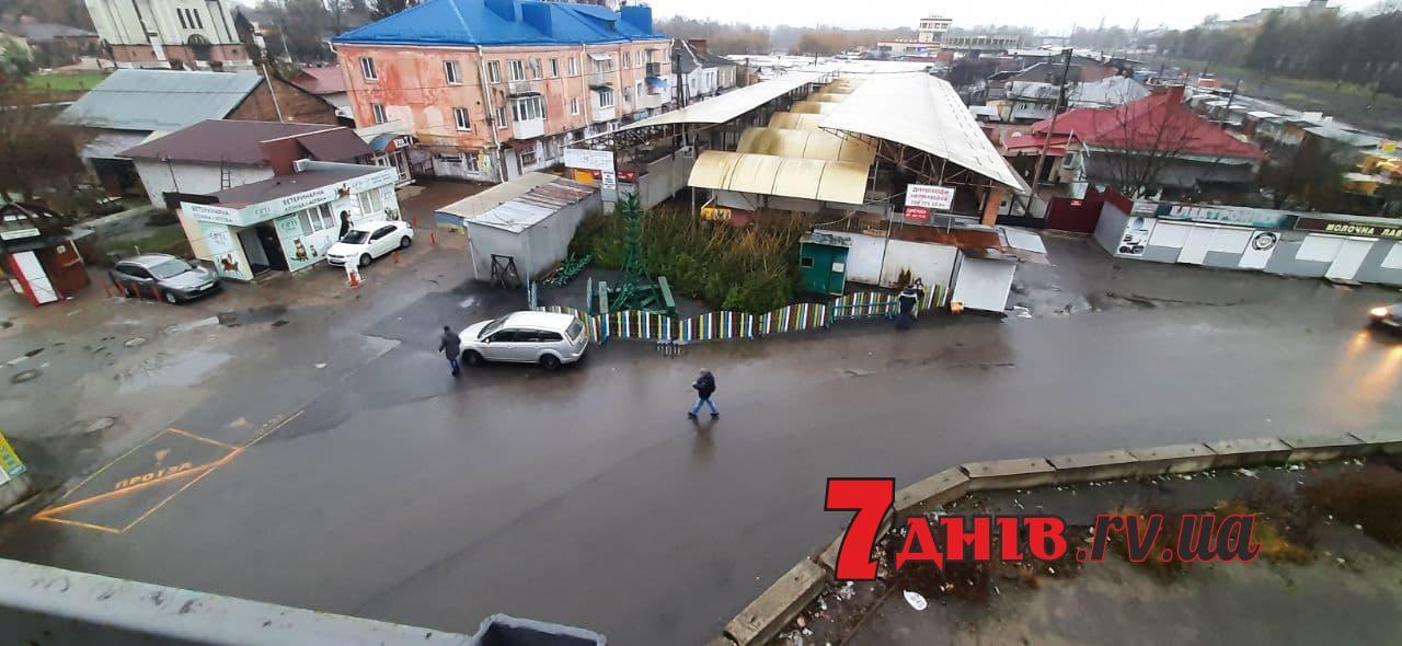У Рівному на ринку Дикого встановлюють ялинку (ФОТО) У Рівному на ринку Дикого встановлюють ялинку (ФОТО)