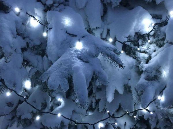Цього дня вшановується пам’ять святого Романа