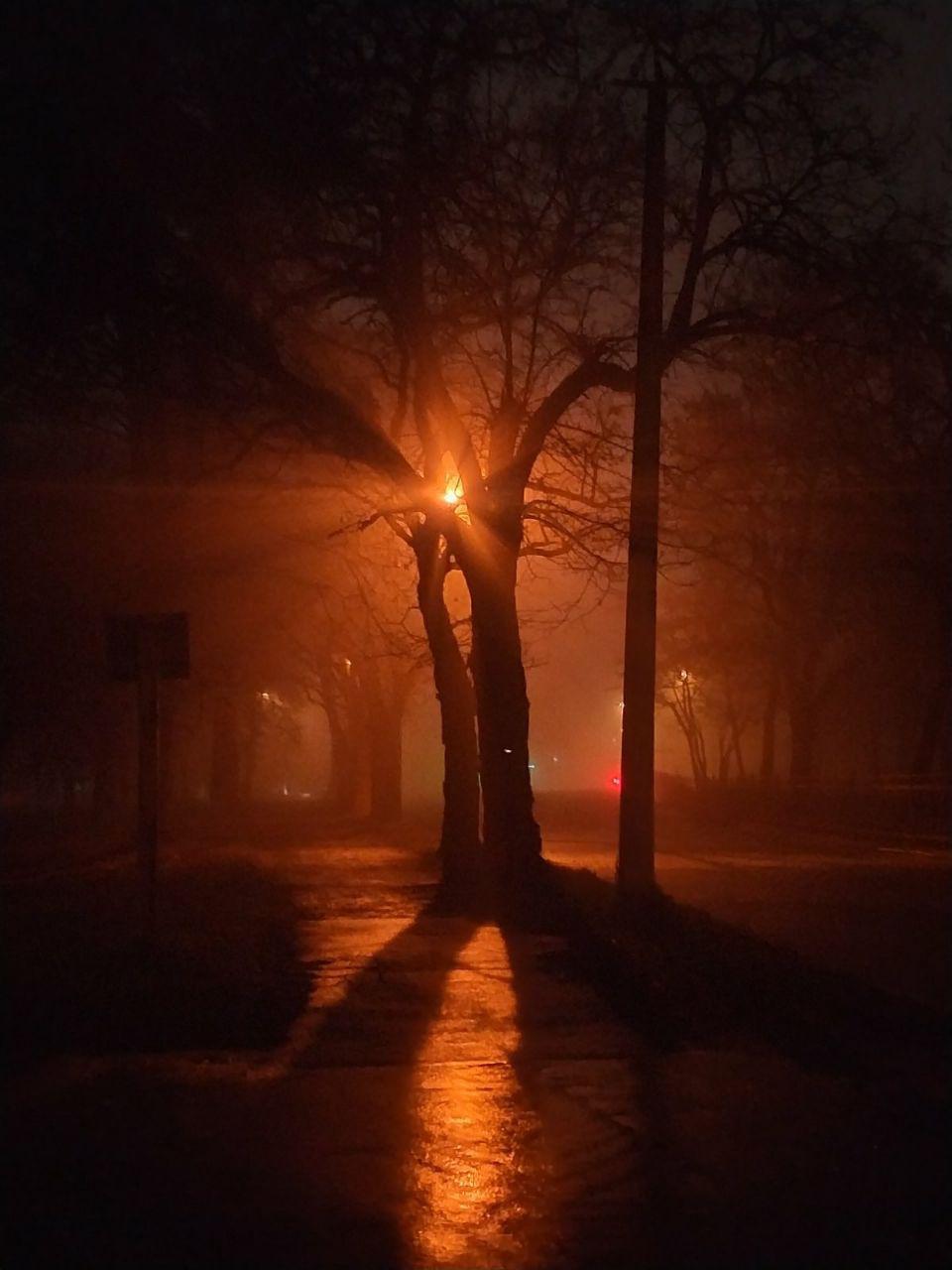 Якщо сьогодні стелиться туман, то буде тепло