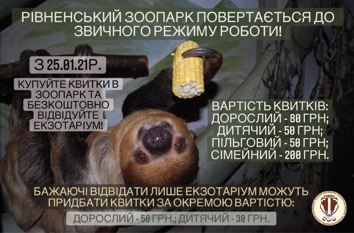 142011361_4384199391609179_5316822472826200897_o