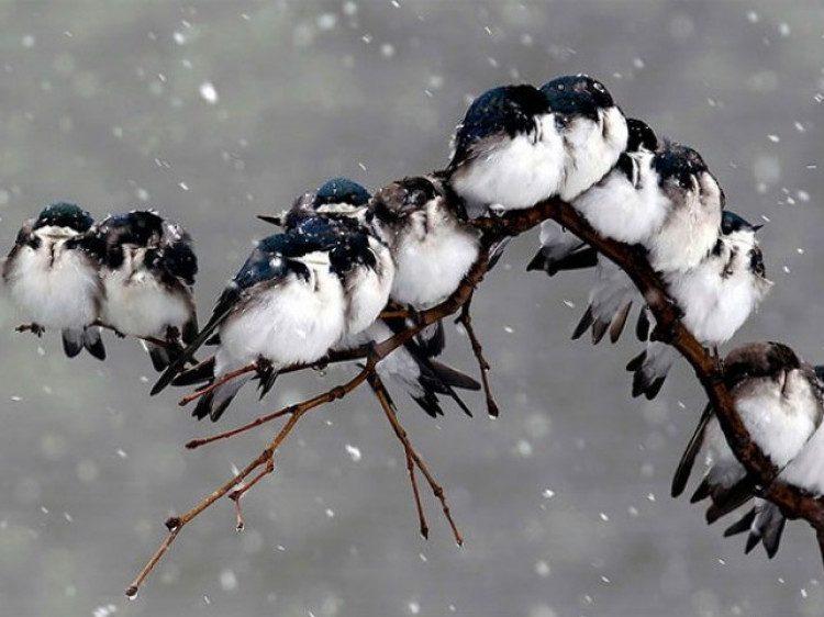 Погоду цього дня визначали за місяцем Погоду цього дня визначали за місяцем