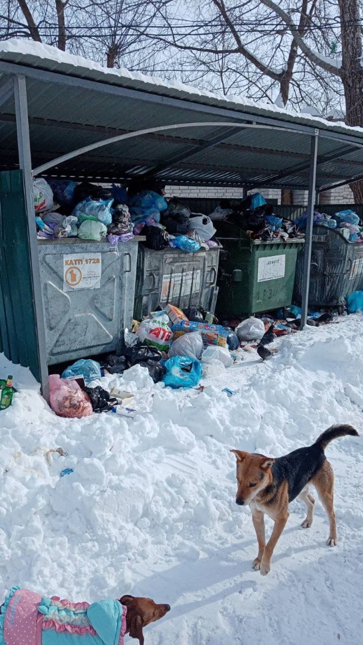 Через наслідки негоди у Рівному не вивозять сміття (+ФОТО) Через наслідки негоди у Рівному не вивозять сміття (+ФОТО)