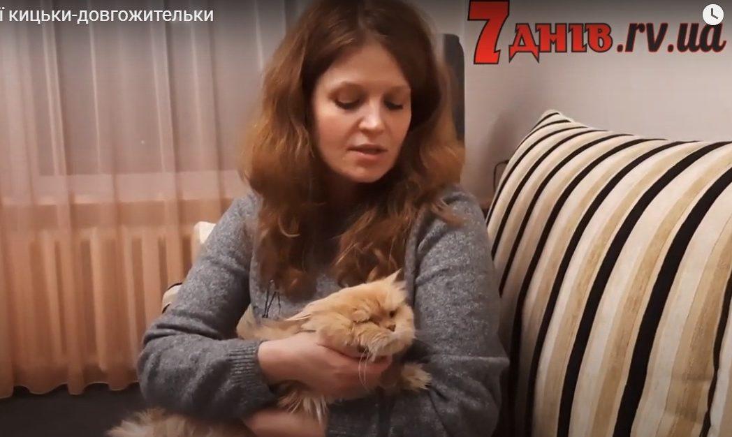 Історія кохання рівненської кицьки-довгожительки та її життя (ВІДЕО)