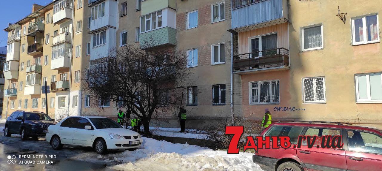 У Рівному комунальники обрізають дерева