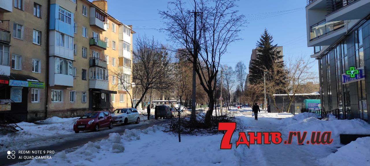 рівне_гайдамацька_дерева_зрізають