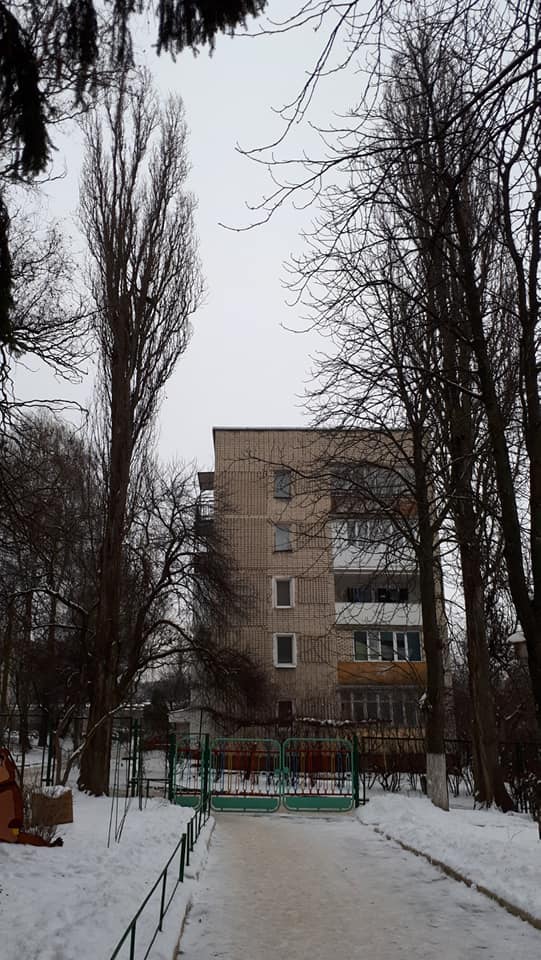У Рівному біля садочка ростуть 23 аварійні тополі