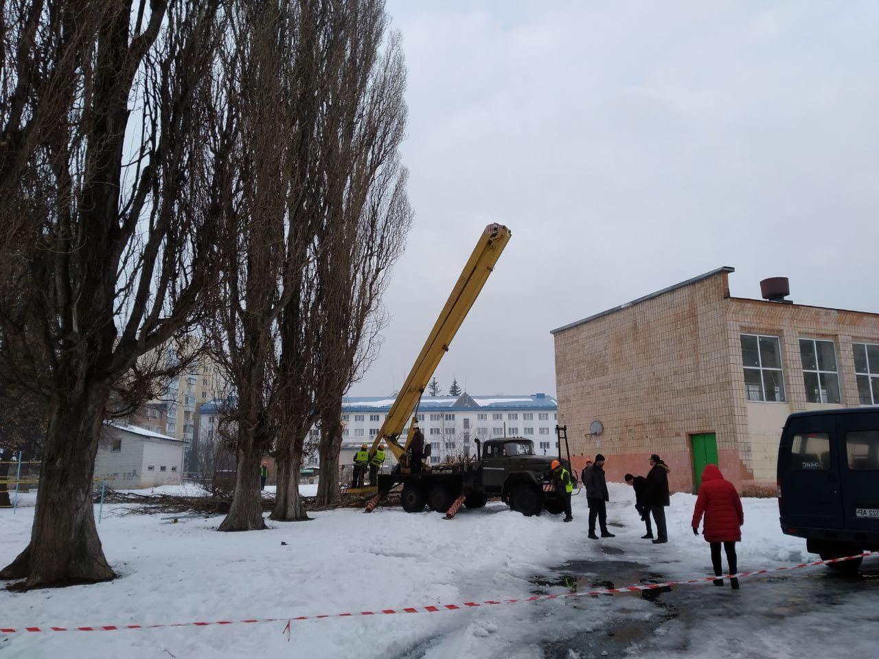 Біля дев’ятої школи зрізають дерева Біля дев’ятої школи зрізають дерева