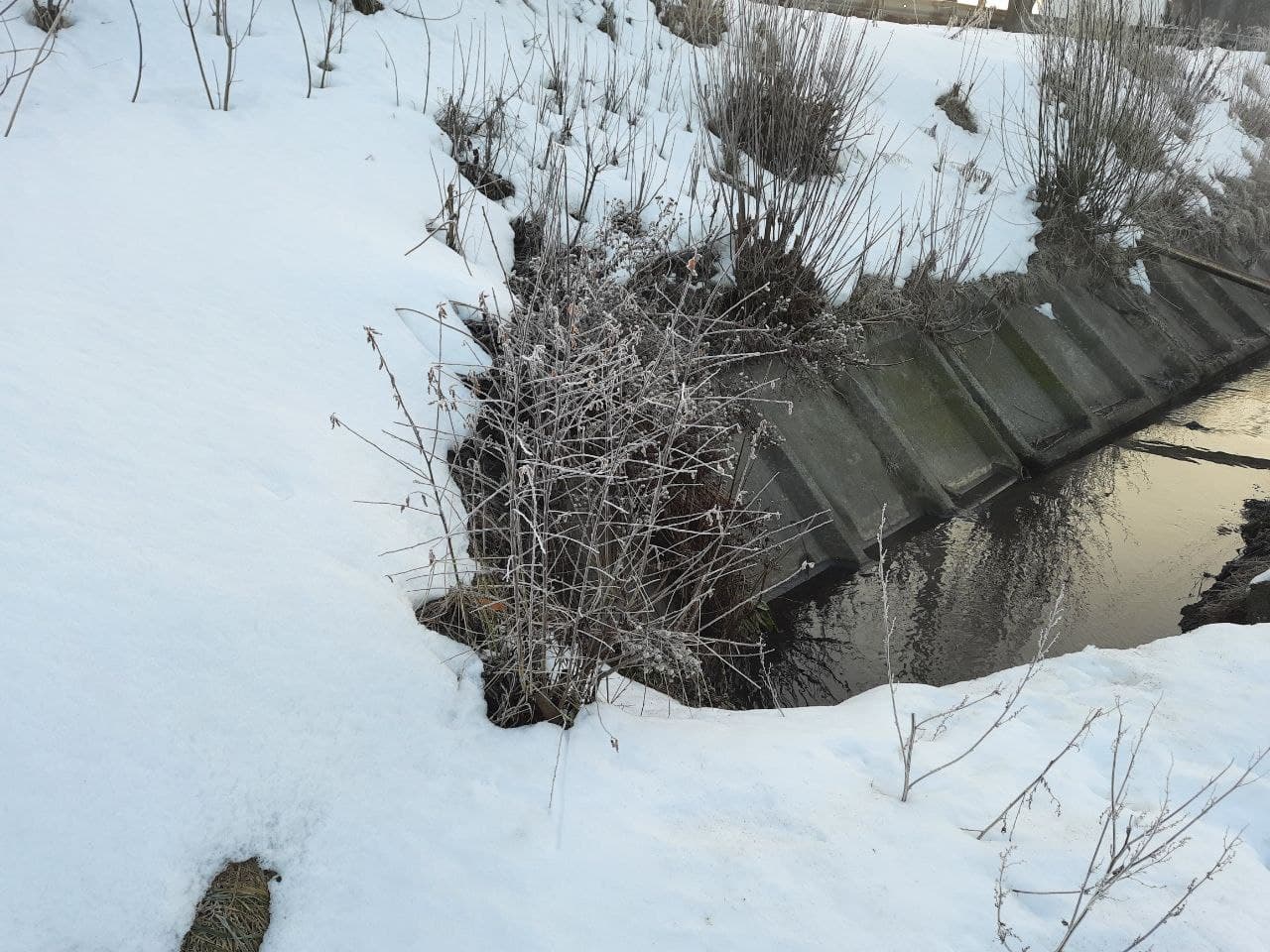 Цього дня часто бували відлиги