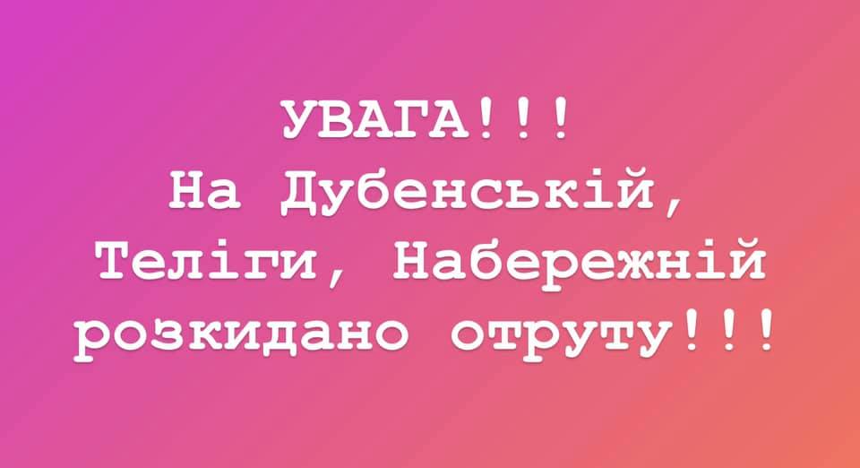 У Рівному труять собак