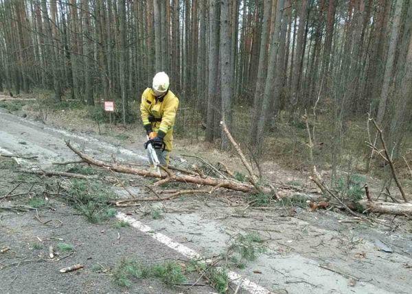 Рятувальники на Сарненщині очистил трасу від поваленого дерева