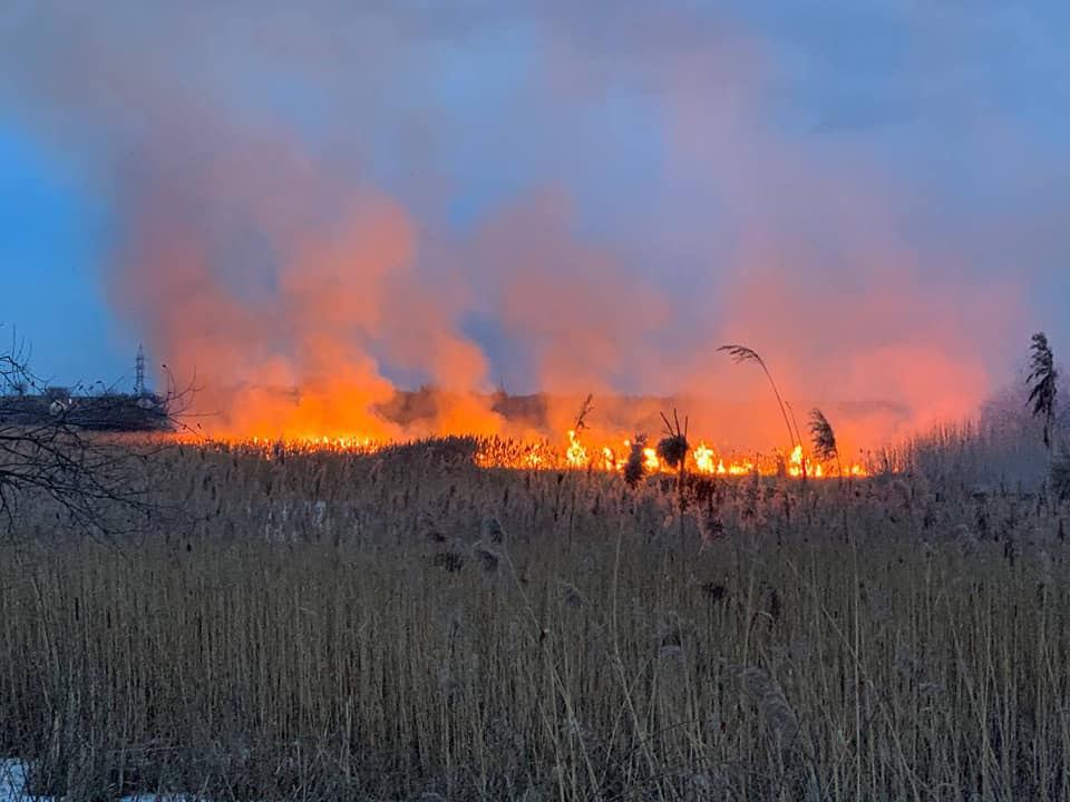 На Рівненщині вперше у цьому році горіла суха трава та очерет