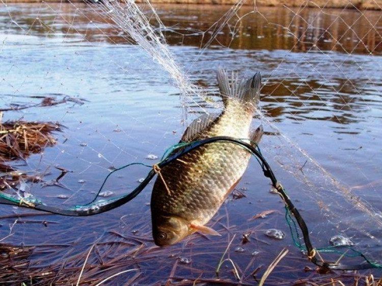 На Хрінницькому водосховищі спіймали браконьєрів