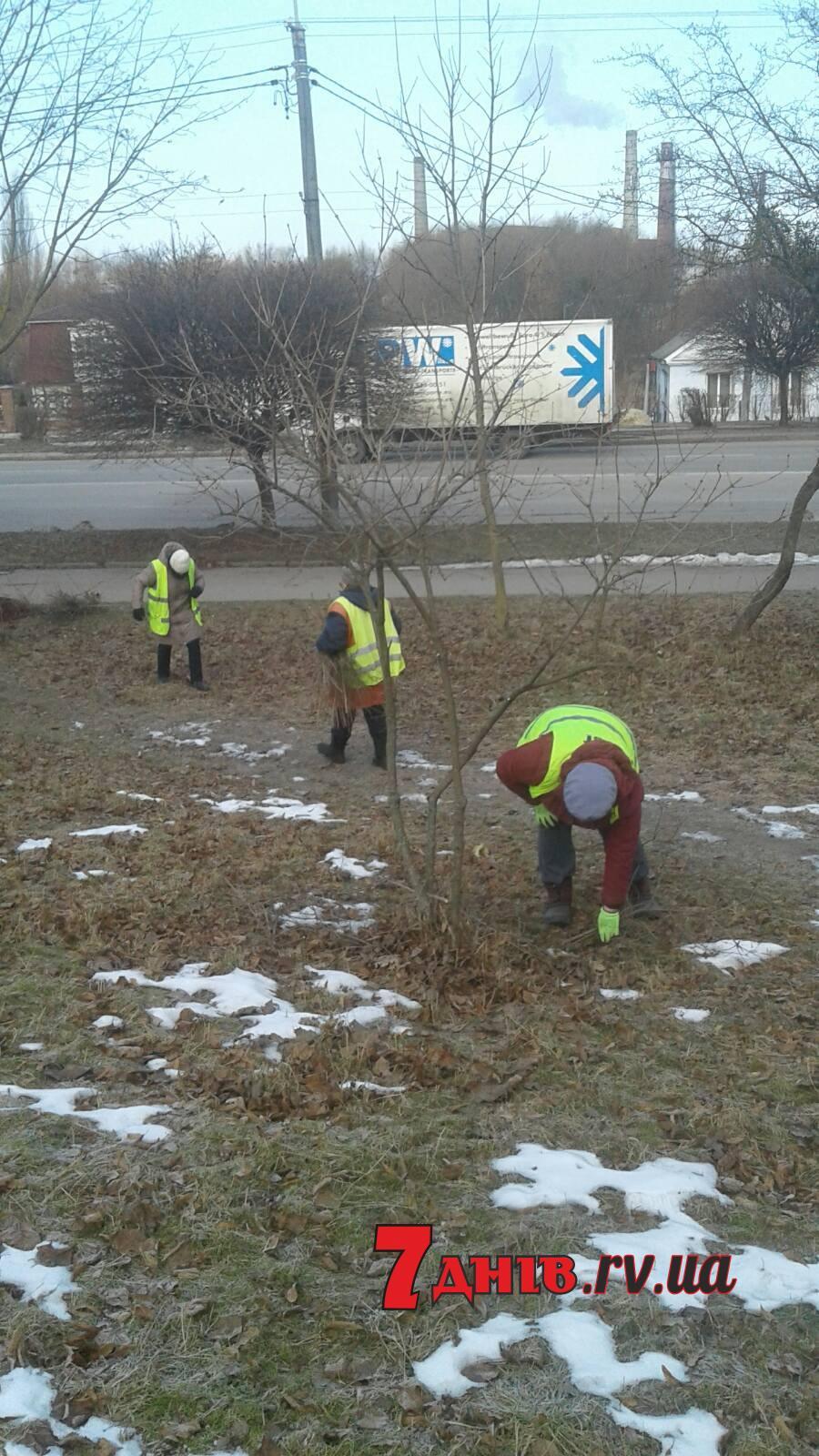 трест зеленого господарства