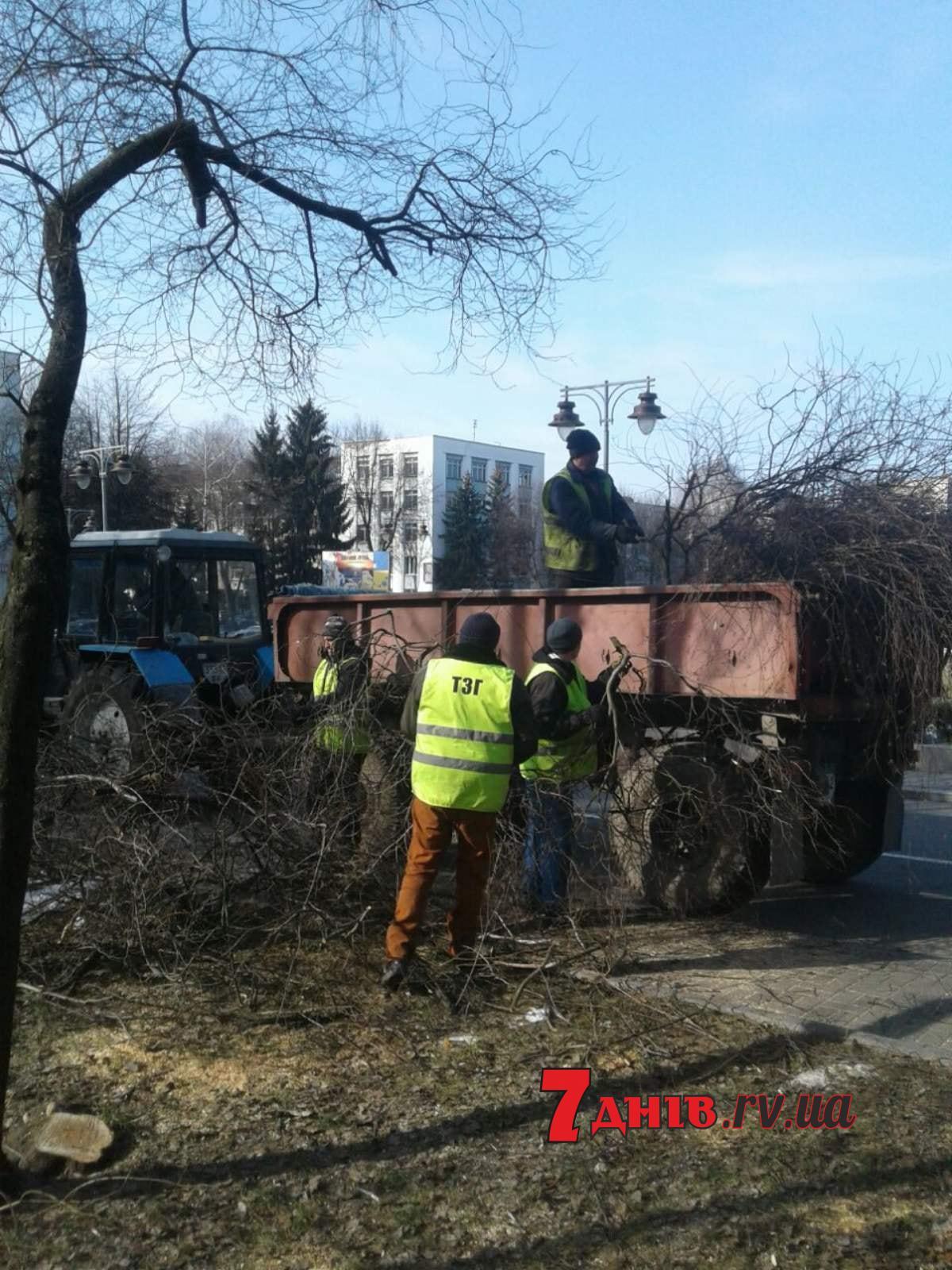 трест