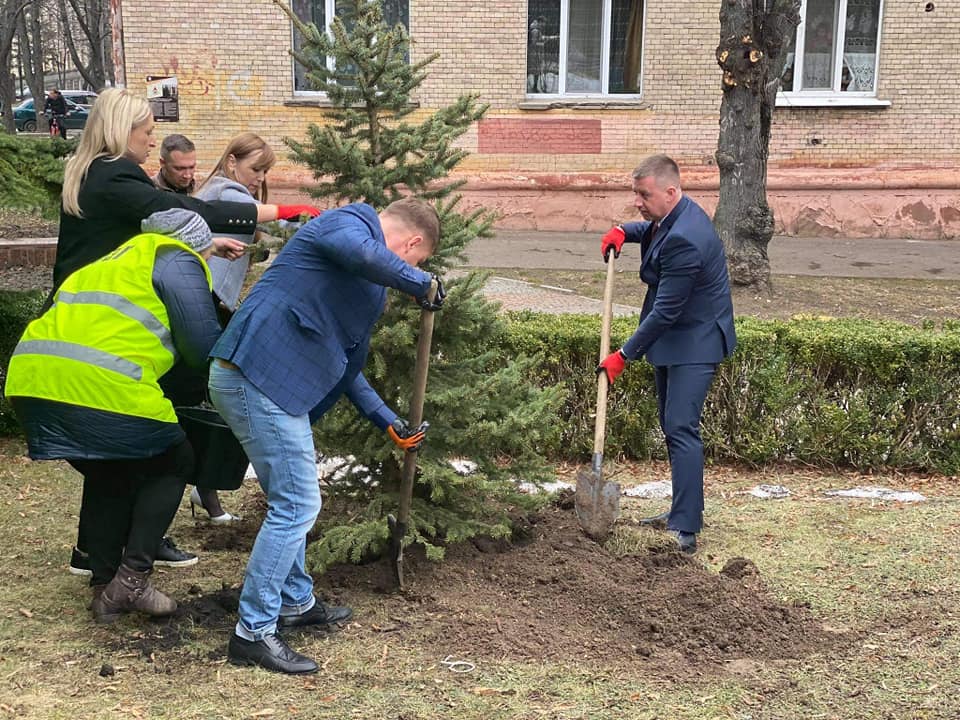 Ялинки, які стояли у Рівненській міській раді, знайшли нову домівку