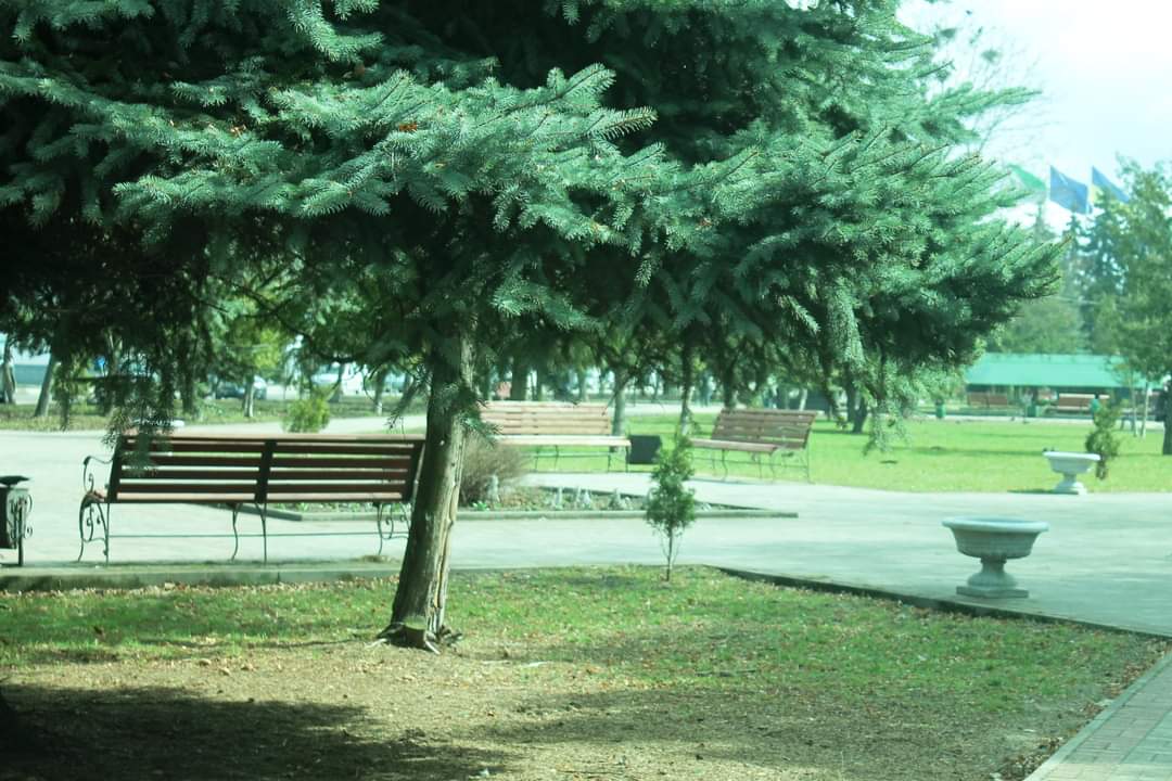 У Сарнах переноситься проведення дня благоустрою