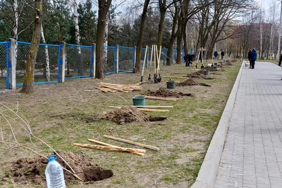 У Рівному висадили 30 кущів калини