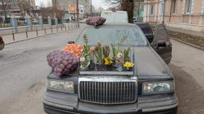 автосарай