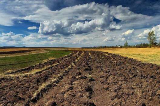 Прокуратура через суд вимагає повернути державі 113 га землі вартістю більше 100 млн грн Прокуратура через суд вимагає повернути державі 113 га землі вартістю більше 100 млн грн