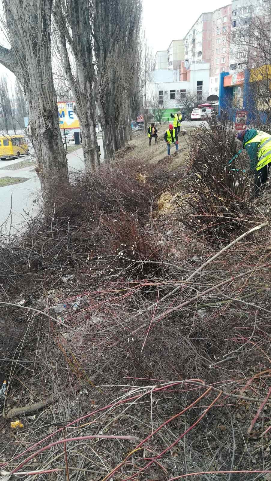 Працівники тресту зеленого господарства щодня працюють на покращення благоустрою територіальної громади