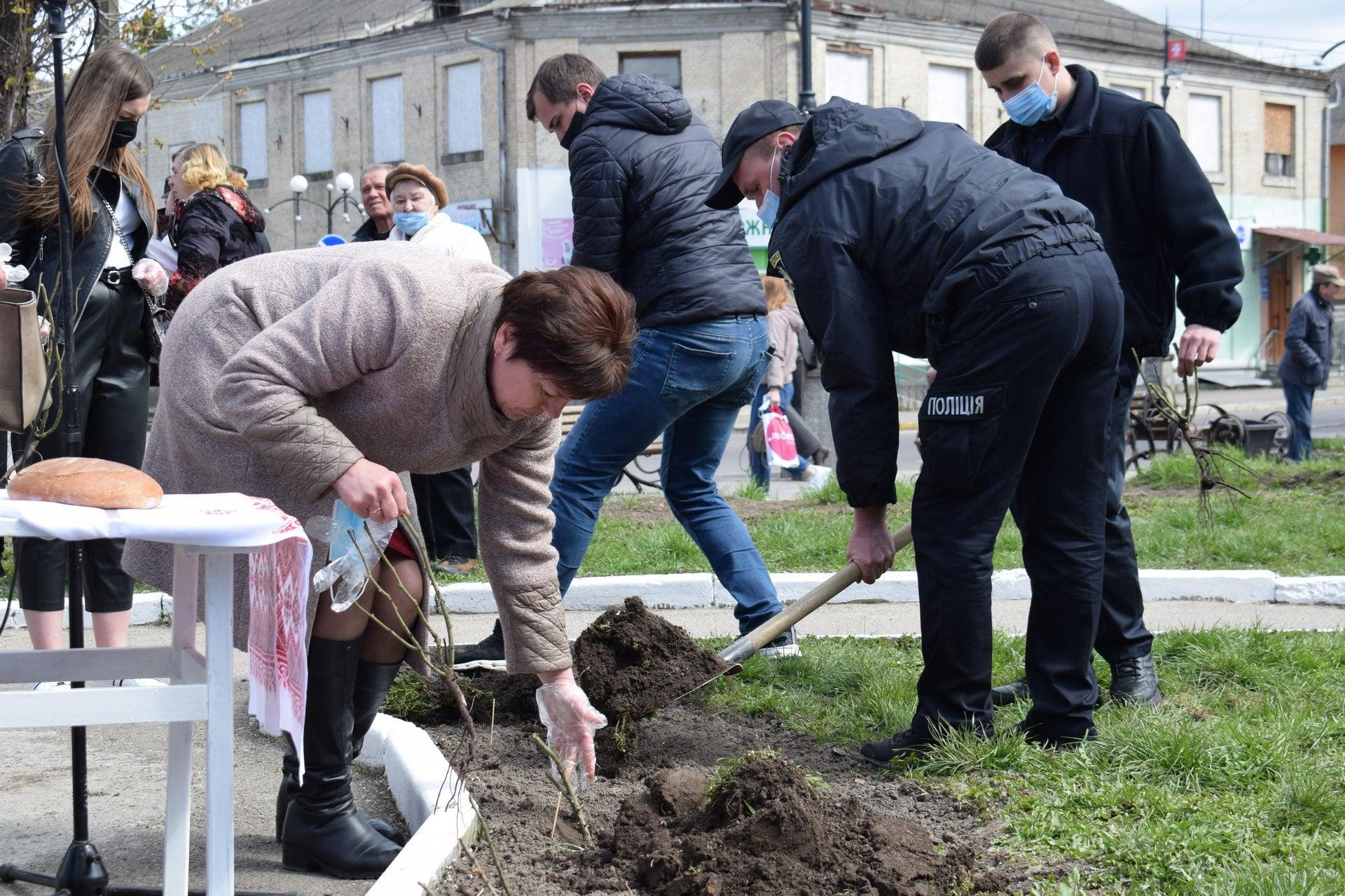У Здолбунові в пам’ять ліквідаторів ЧАЕС висадили троянди