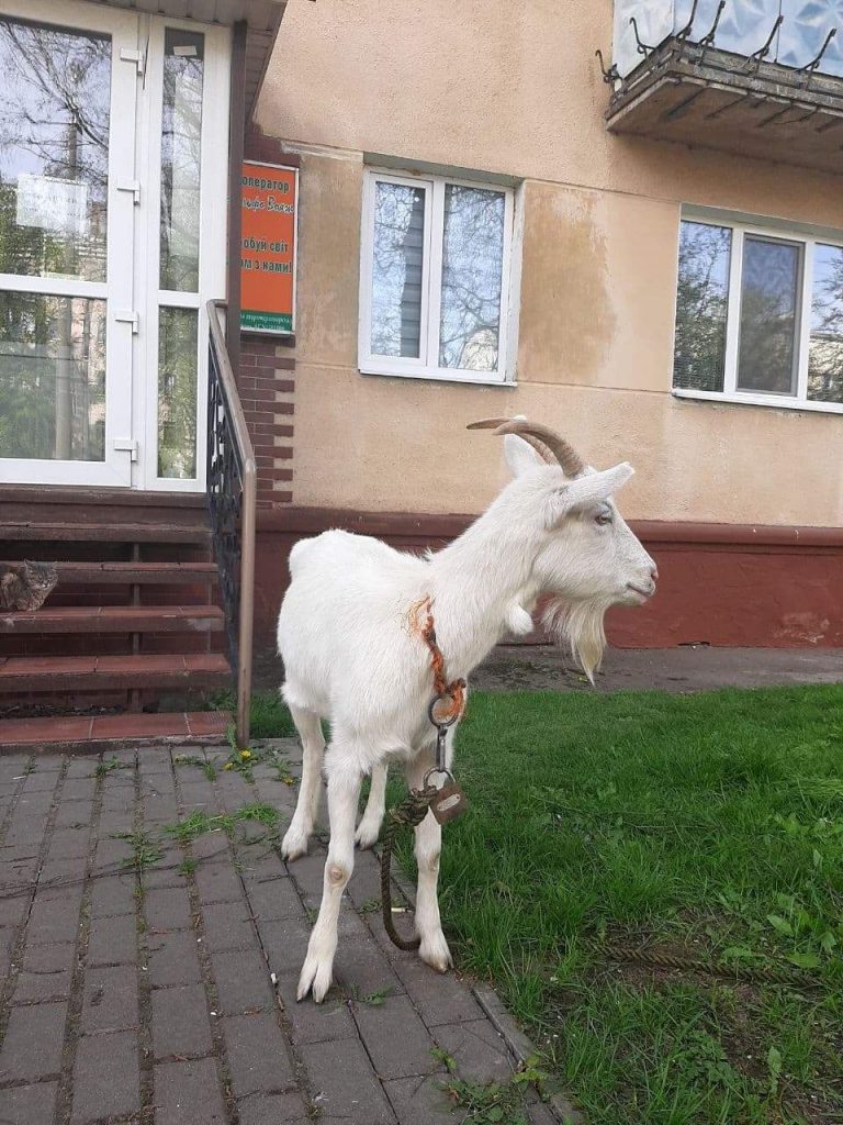 FB_IMG_1620320595384