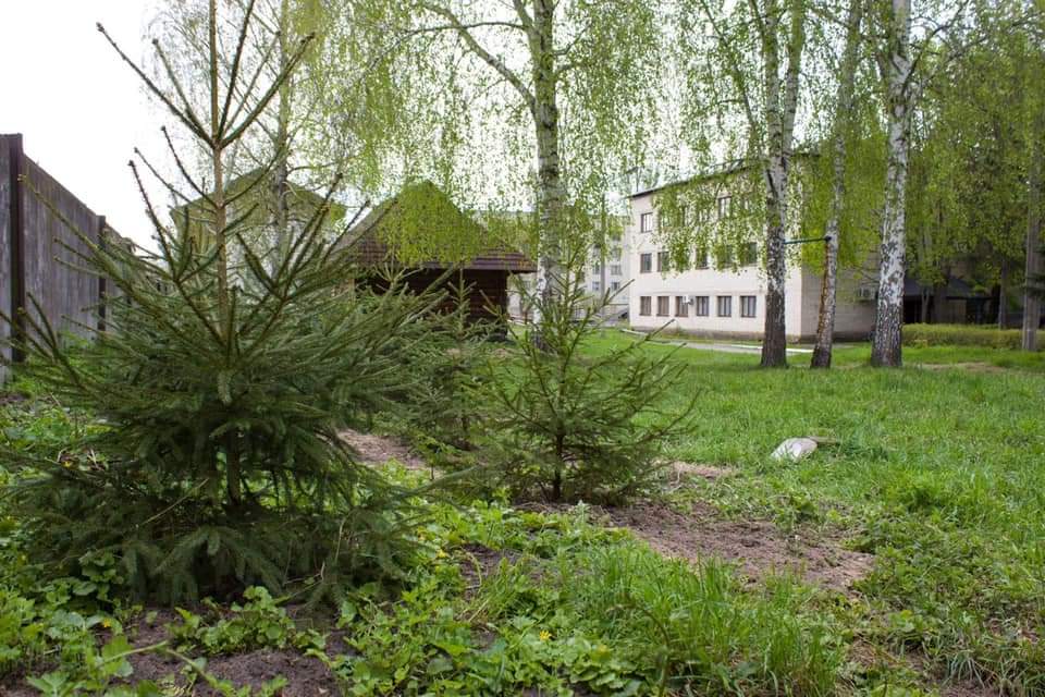 В етнопарку на Рівненщині формують майбутні фотозони В етнопарку на Рівненщині формують майбутні фотозони