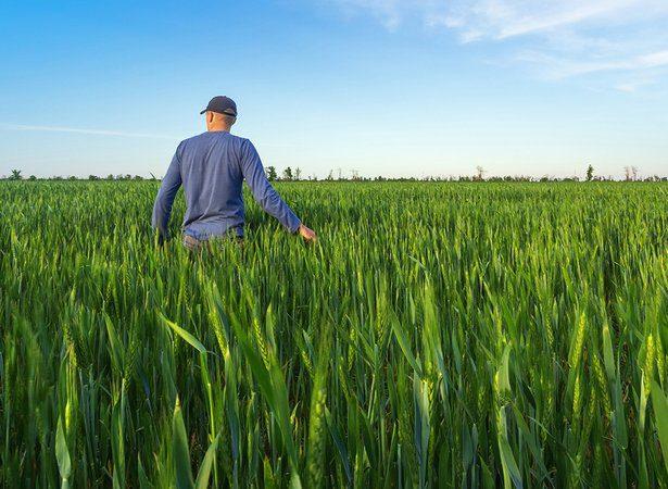 200 тисяч власників паїв на Рівненщині вже скоро зможуть їх продавати
