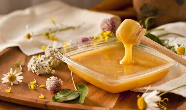 Україна може втратити ринок меду