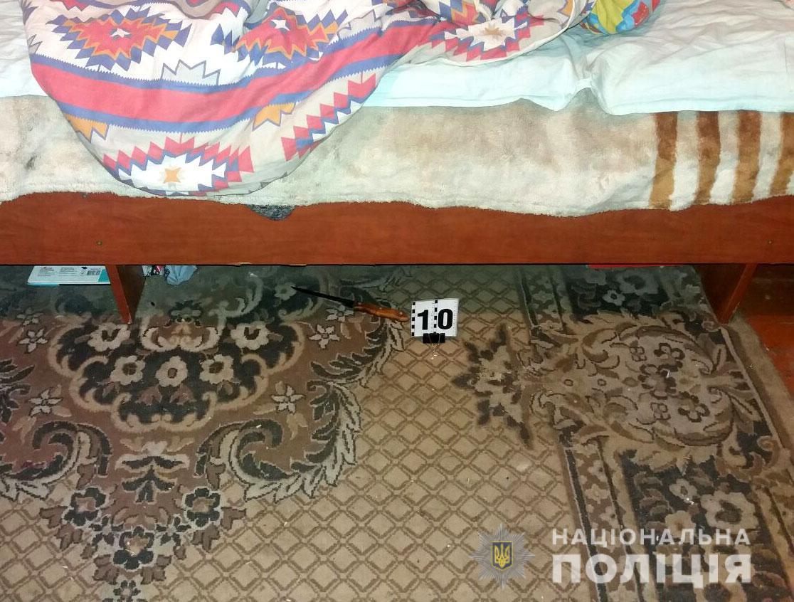 Жінці, яка звинувачується у вбивстві співмешканця загрожує 15 років позбавлення волі Жінці, яка звинувачується у вбивстві співмешканця загрожує 15 років позбавлення волі