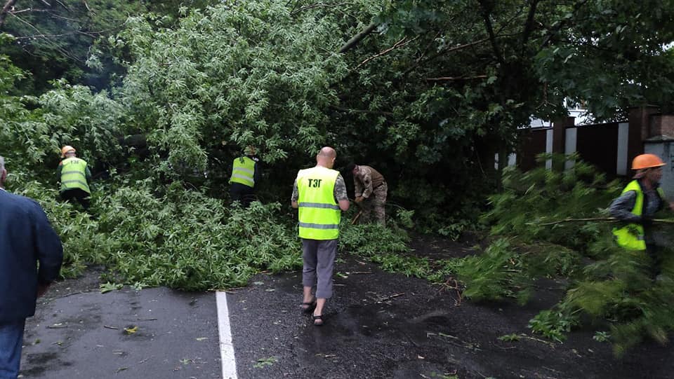 Комунальники Рівного розчищають місто від повалених негодою дерев (фото, відео)