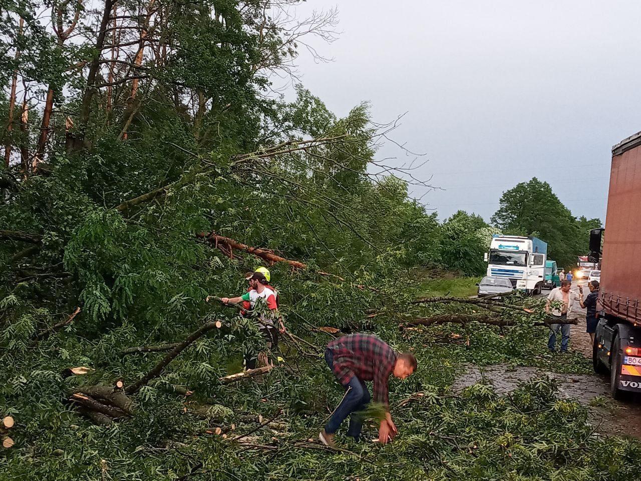 Двоє людей травмувалося на Рівненщині через негоду (фото)
