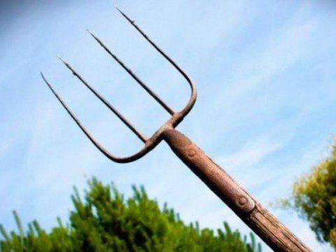 На Рівненщині на правоохоронця напав чоловік з вилами