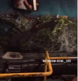 Негода в Рівному повалила дерева, одне з них впало на маршрутку з людьми Негода в Рівному повалила дерева, одне з них впало на маршрутку з людьми