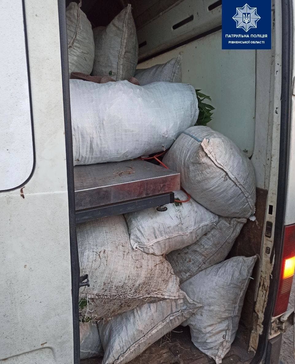Сарненські патрульні в кузові автомобіля виявили у великій кількості червонокнижну рослину