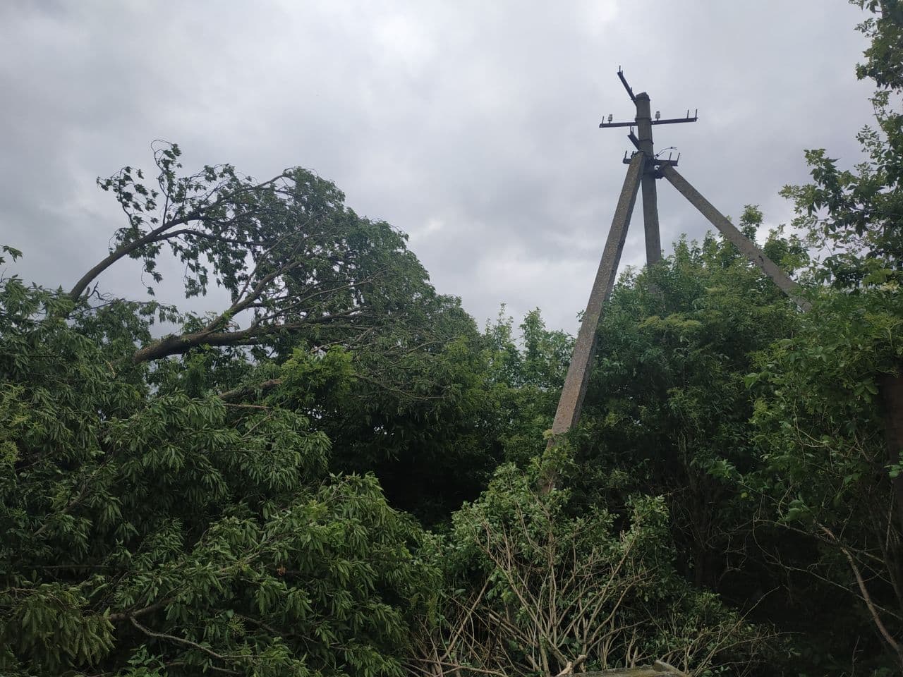 54 населених пункти на Рівненщині знеструмлені внаслідок грози та шквального вітру 54 населених пункти на Рівненщині знеструмлені внаслідок грози та шквального вітру