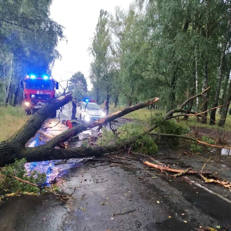 На Рівненщині внаслідок негоди частково знеструмлені 19 населених пунктів